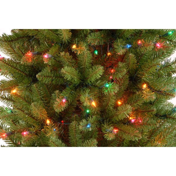 Charlton Home® Kingswood Fir Lighted Artificial Fir Christmas Tree ...